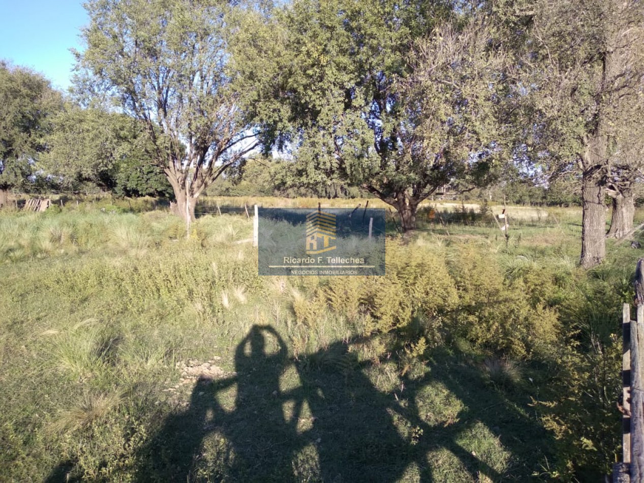 LOTE