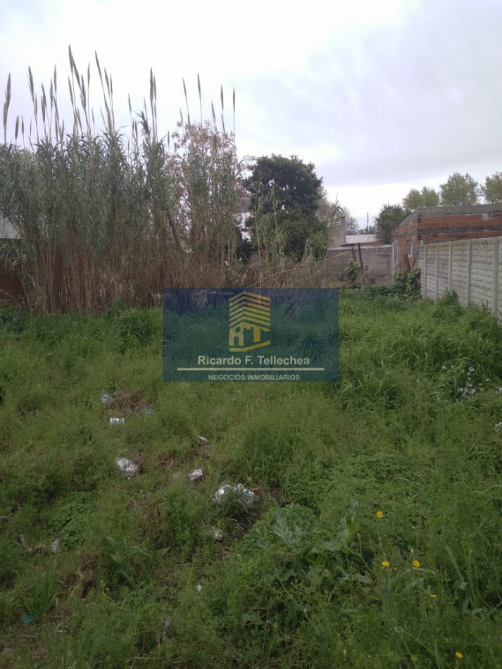 LOTE