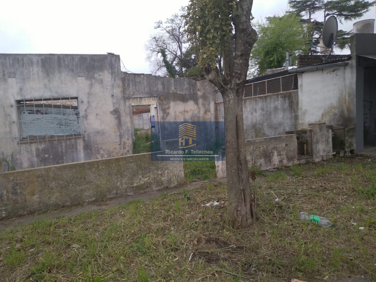 LOTE