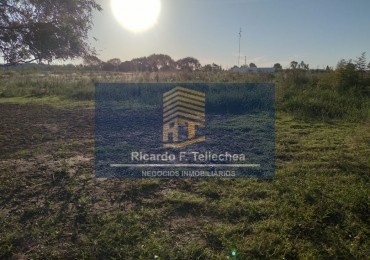 LOTE