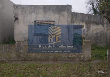 LOTE